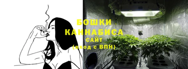 прущие грибы Белокуриха