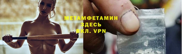 прущие грибы Белокуриха