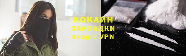 прущие грибы Белокуриха