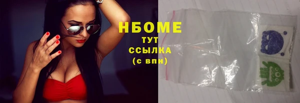 прущие грибы Белокуриха