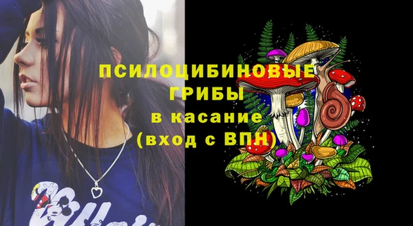 гидра Беломорск