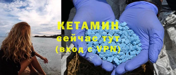 прущие грибы Белокуриха