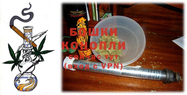 прущие грибы Белокуриха