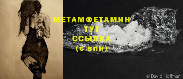 прущие грибы Белокуриха